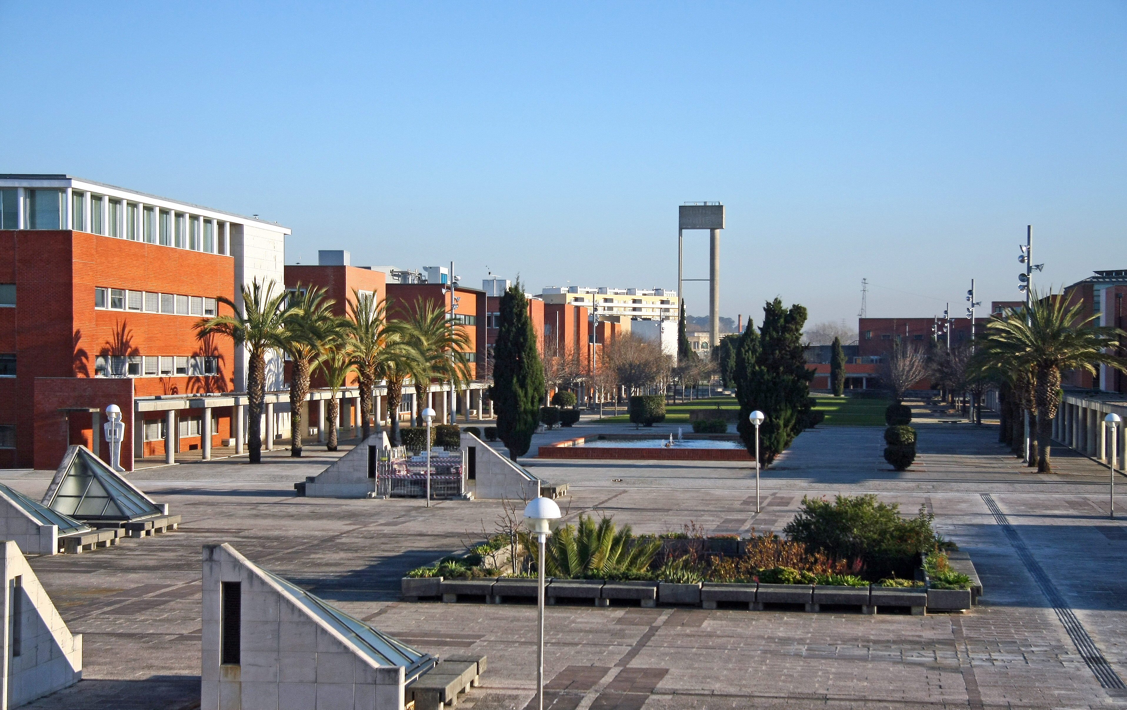 University